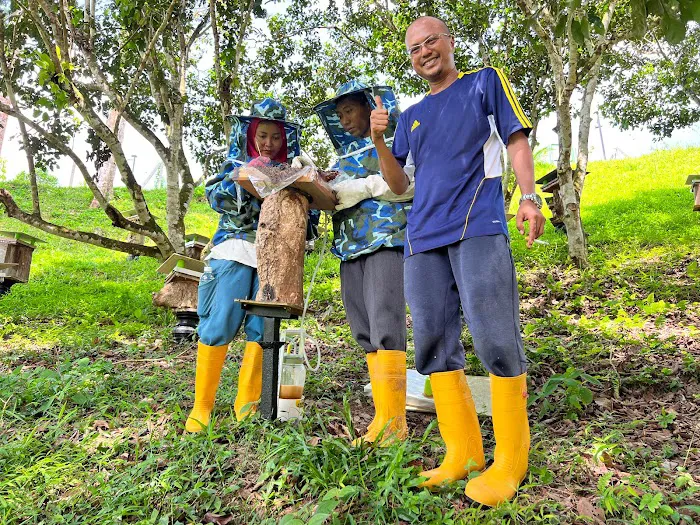 Kebun Langat Picture 9