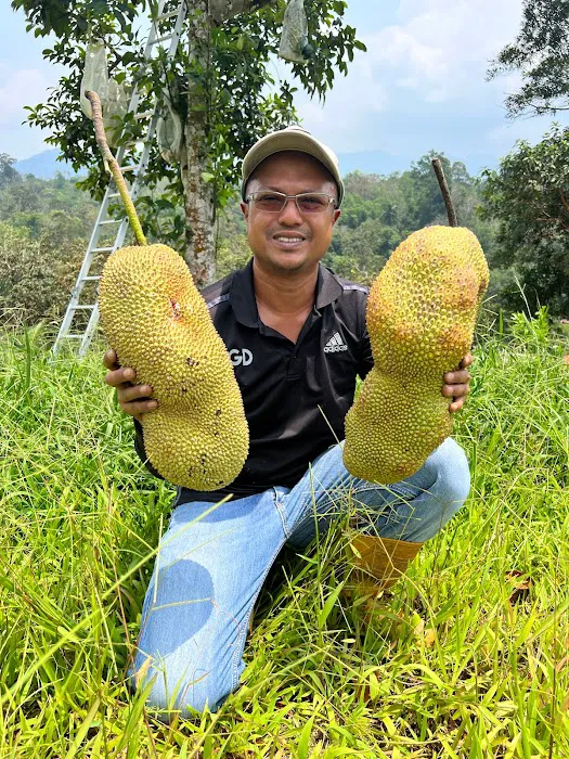 Kebun Langat Picture 10