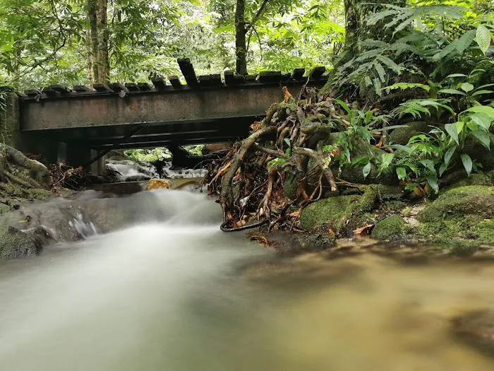 Perdik Fall Picture 2