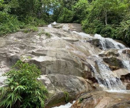 Perdik Fall