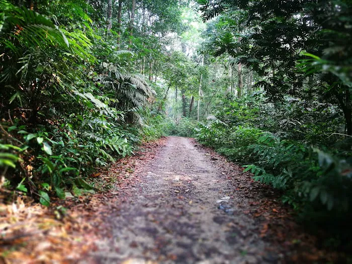 Perdik Fall Picture 3