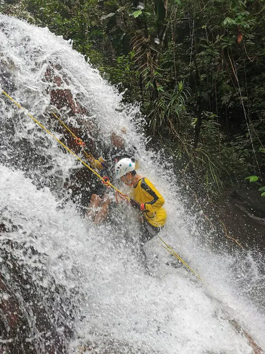 Perdik Fall Picture 6