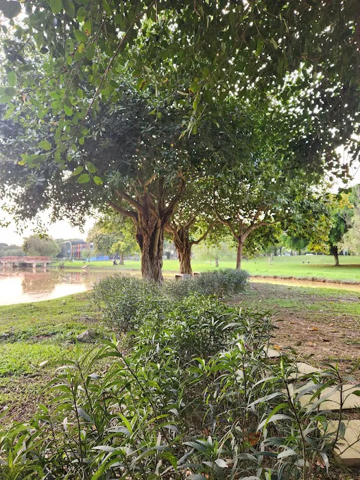 Setia Alam Wetland Picture 8