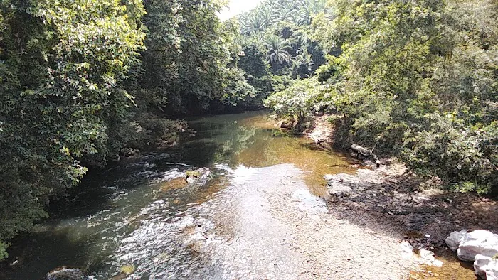 Amadi Kelah Sanctuary Picture 1