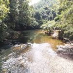 Amadi Kelah Sanctuary