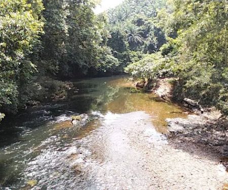 Amadi Kelah Sanctuary