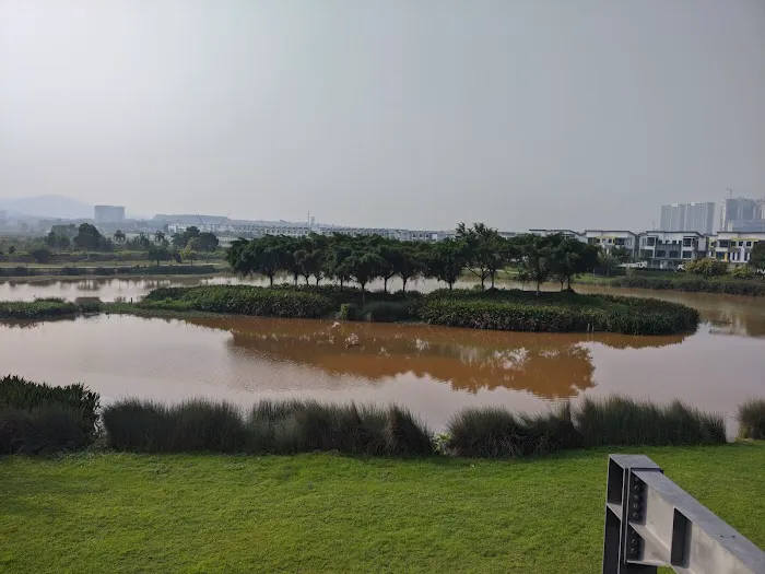 Island Of Life Wetland Picture 4
