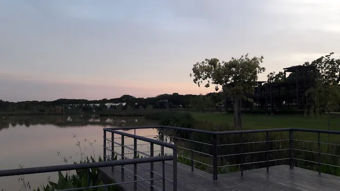 Island Of Life Wetland Picture 8