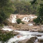 Gunung Rajah Trailhead