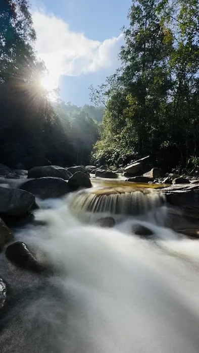 Gunung Rajah Trailhead Picture 5
