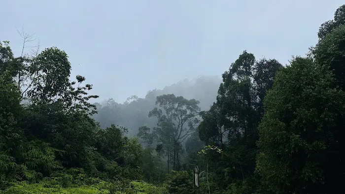 Gunung Rajah Trailhead Picture 7