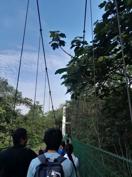 Hiking Trailhead No. 2 via Taman Rimba Bukit Kerinchi Picture 4