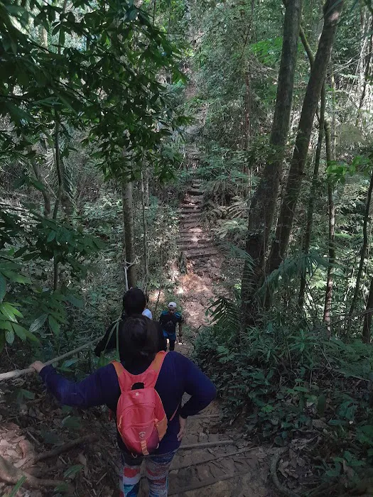 Hiking Trailhead No. 2 via Taman Rimba Bukit Kerinchi Picture 3