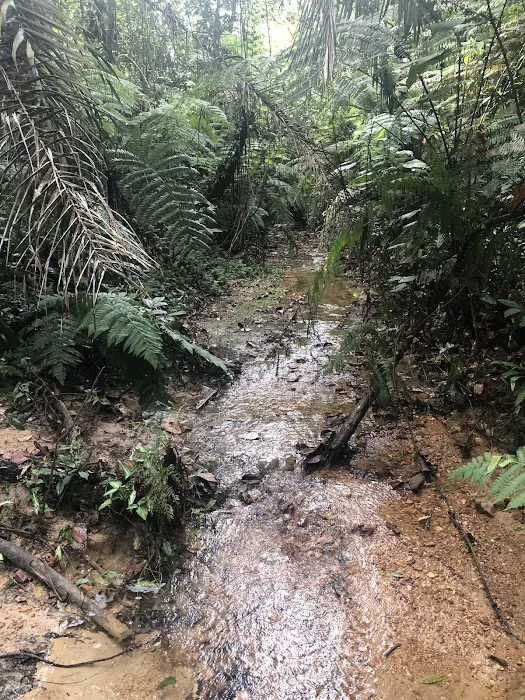 Creek Picture 2