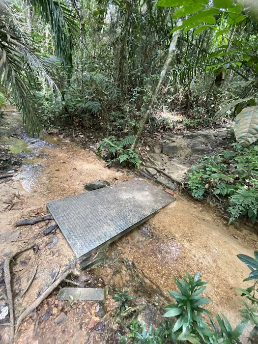 Creek Picture 1
