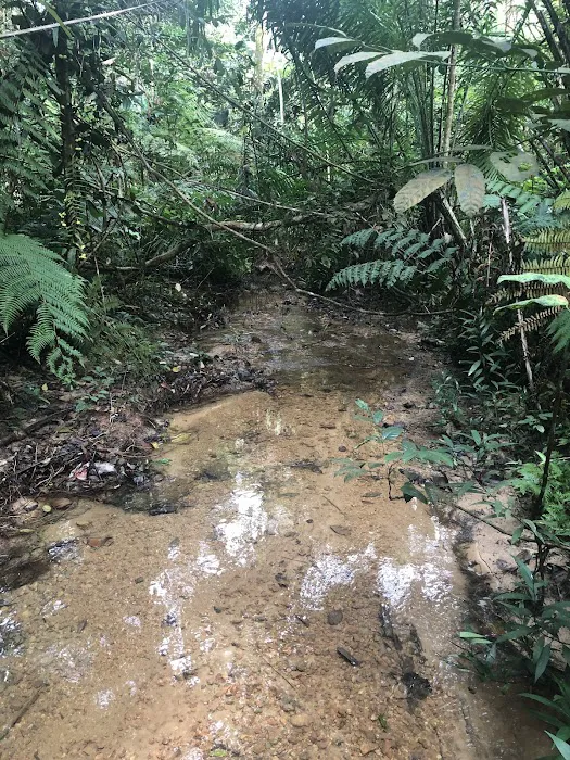 Creek Picture 4
