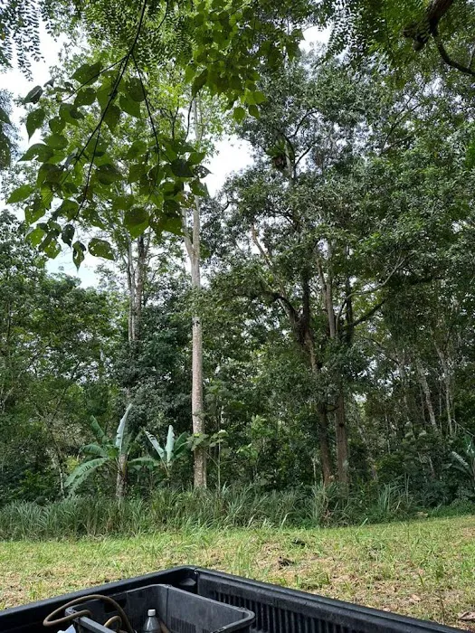 Bamboo Heights Picture 1