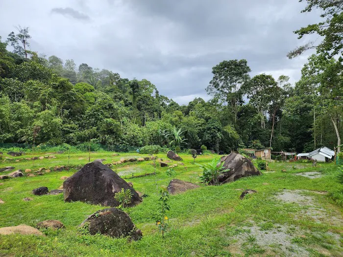 Leng in the jungle森伶 Picture 2