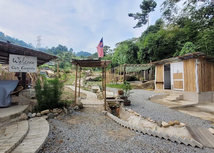 Leng in the jungle森伶 Picture 4