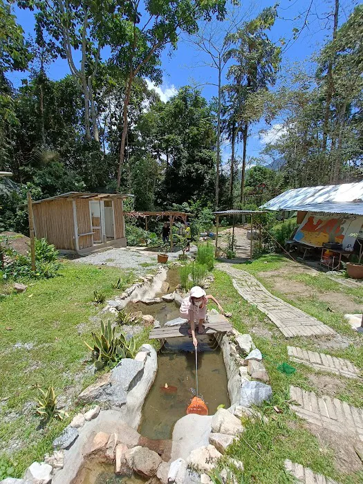 Leng in the jungle森伶 Picture 10
