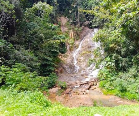 Waterfalls