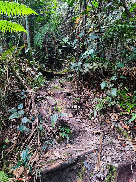 Gunung Rawang Matahari Picture 1
