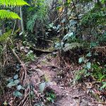 Gunung Rawang Matahari