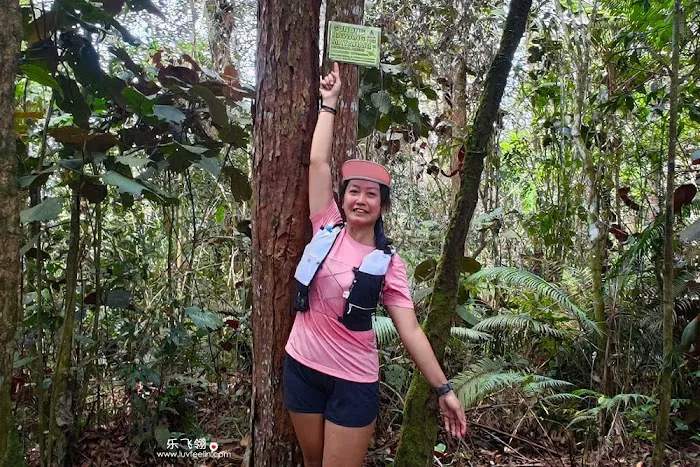 Gunung Rawang Matahari Picture 3