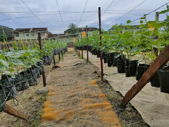 TAMAN FERTIGASI KOPUMMA Picture 3