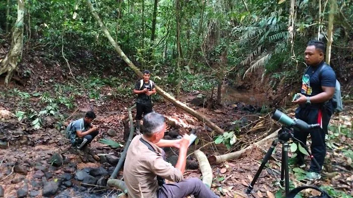 Air Terjun Lata Gemuruh Picture 3