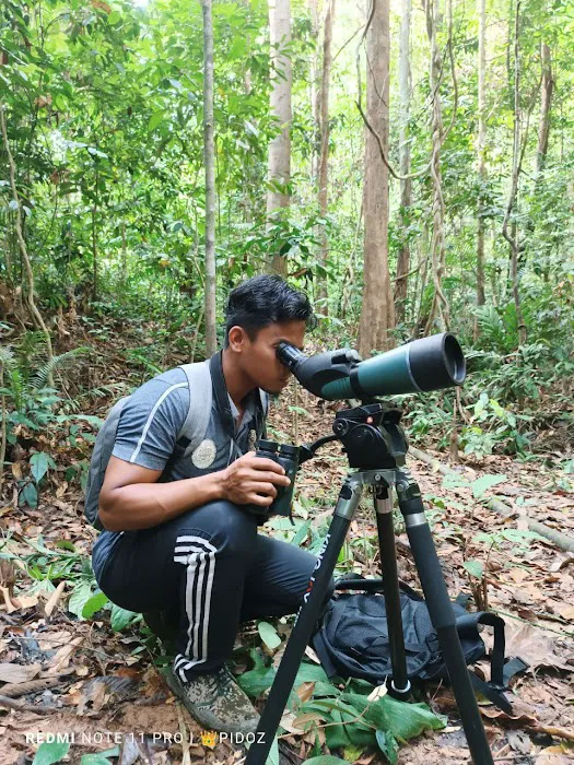 Air Terjun Lata Gemuruh Picture 8