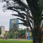 Public Park Taman Mutiara