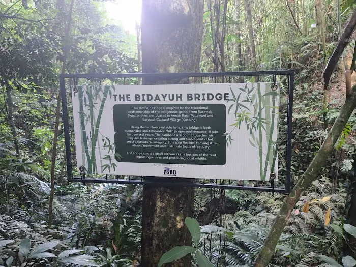 The bidayuh bridge Picture 1