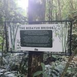 The bidayuh bridge