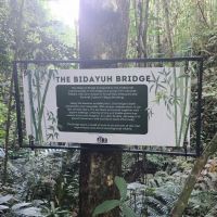 The bidayuh bridge ico
