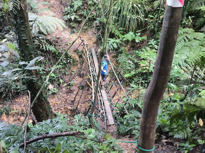 The bidayuh bridge Picture 3