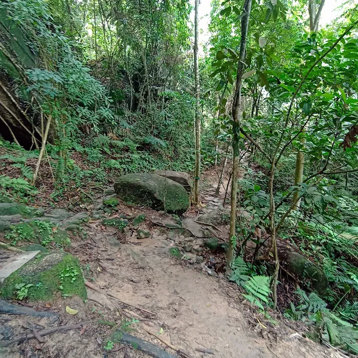 Ketumbar Hill Viewpoint Picture 3