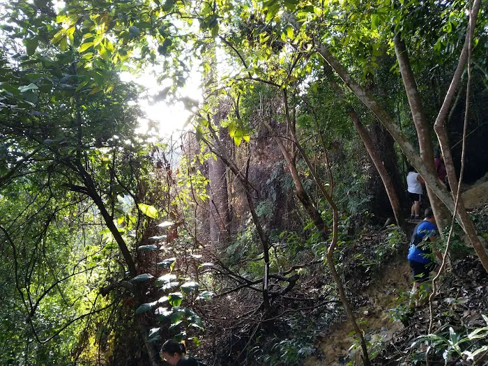 Ketumbar Hill Viewpoint Picture 5