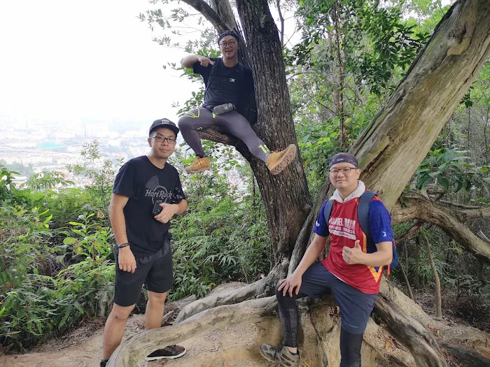 Ketumbar Hill Viewpoint Picture 8