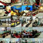 Lake Castle Antique Museum