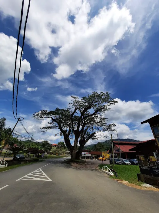 Sungai Lembing Town Area Picture 1