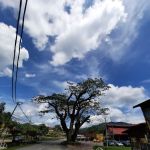Sungai Lembing Town Area