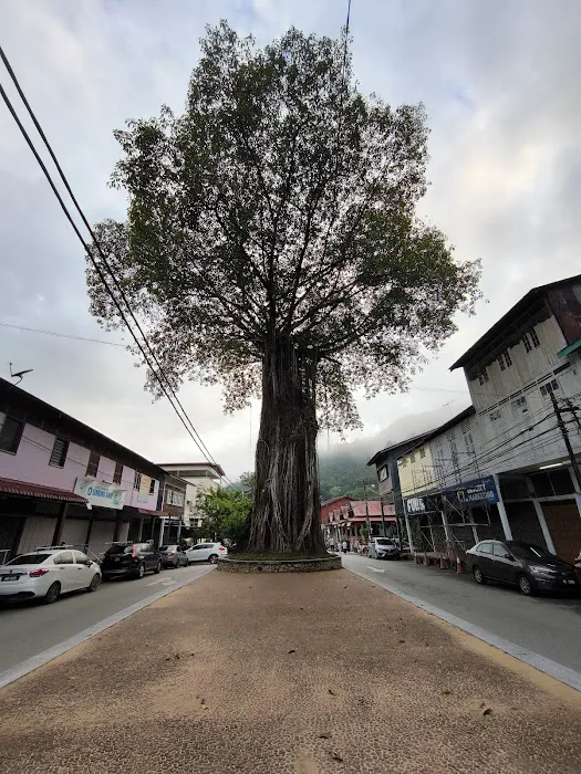 Sungai Lembing Town Area Picture 2