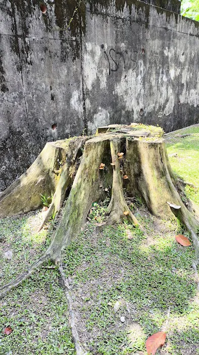 Taman Lemak Picture 5