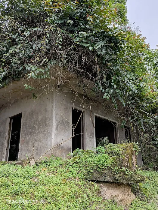 Bukit Panorama Pondok Menunggu (Kaki Bukit Panorama) Picture 6