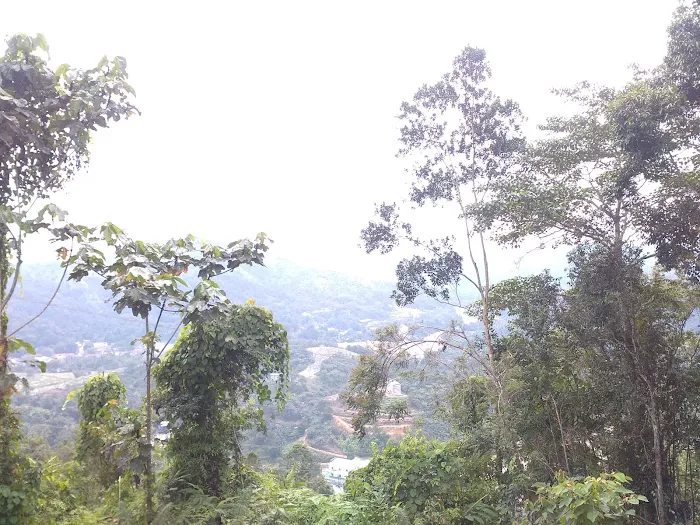 Town View & Sunset Hill Picture 9