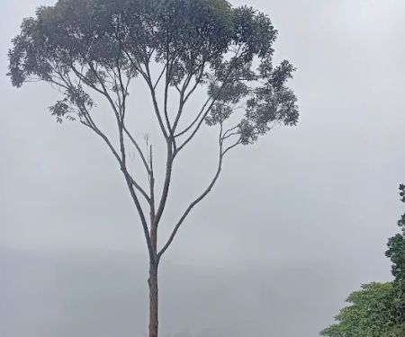 Bukit Panau View Point
