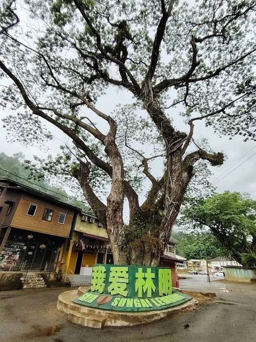 I Love Sungai Lembing signage Picture 1