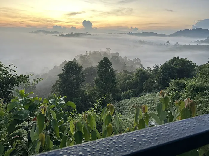 Sunrise Hill Picture 1