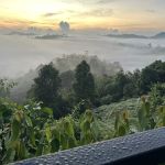 Sunrise Hill